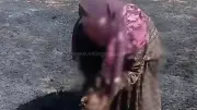 احتراق 5 أفدنة قمح بقرية النعامنة قبل الحصاد وأسرة تتكبد خسائر فادحة