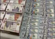 ضبط شخص بتهمة غسل 50 مليون جنيه متحصلة من النصب على المواطنين