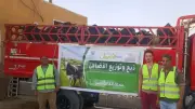 الأقصر تنحر 50 عجلاً بلدياً وتوزعها على الأكثر احتياجاً في عيد الأضحى
