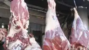 ضبط 572 كيلو لحوم ودواجن ورنجة غير صالحة بالغربية قبل عيد الأضحى