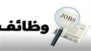 توفير 600 فرصة عمل جديدة لشباب المنوفية.. رابط التقديم والمواعيد