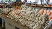 تباين أسعار الأسماك اليوم الأحد.. البلطي بـ69 جنيها والجمبري يواصل الارتفاع