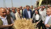 شروط التقدم للجوائز التشجيعية بوزارة الزراعة.. إعلان الفائزين 7 أكتوبر