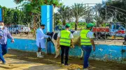توزيع 75 ألف كيلو لحوم و75 عجلاً بلدياً على الأسر الأولى بالرعاية في بني سويف