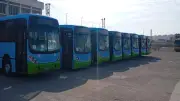 تحويل 754 أتوبيسًا للعمل بالغاز الطبيعي في القاهرة والإسكندرية