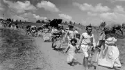 أفلام عربية توثق النكبة ومعاناة الفلسطينيين في ذكراها الـ78