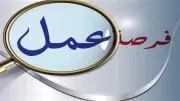 رواتب تبدأ من 8 آلاف جنيه.. فرص عمل متنوعة في عدة تخصصات بمصر