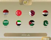 8 دول عربية وإسلامية تدين اعتداء وزير إسرائيلي بحق أسطول غزة