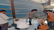 تشميع 80 محلاً تجارياً في ثلاث مراكز بالمنيا لمزاولة النشاط بدون ترخيص