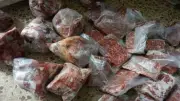 مصادرة 800 كيلو لحوم ودواجن ورنجة غير صالحة للاستهلاك في الغربية