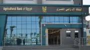 البنك الزراعي يوضح شروط التمويل الصناعي وسلف الفلاحين كاملة