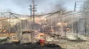 السيطرة على حريق كافيه بدائري سمالوط دون إصابات