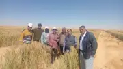 الزراعة تستعرض أنشطة مركز بحوث الصحراء في أبريل بإنجازات بحثية وميدانية