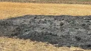 حريق يلتهم محصول قمح في قرية مجول ببنها والأمن يكثف تحرياته