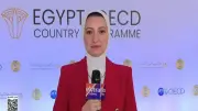 البرنامج القطري يعزز تحسين بيئة الأعمال ودعم الإصلاحات الهيكلية