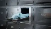 أمينة الفتوى توضح حكم غسل الزوجة لزوجها المتوفى