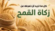 الأزهر للفتوى يوضح أحكام زكاة القمح في موسم الحصاد