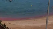 المعهد القومي لعلوم البحار يرصد تكاثر الشعاب المرجانية بالبحر الأحمر