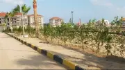 خطة الحكومة لتوسيع المساحات الخضراء: تشجير الدائري وزراعة آلاف الأشجار بالدقهلية