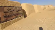 تجديد إدراج وادي الحيتان بالقائمة الخضراء للاتحاد الدولي لصون الطبيعة