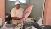 انتعاش حركة البيع والشراء في حلقة أسماك طور سيناء بعد التشغيل الفعلي