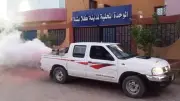مكافحة ناقلات الأمراض بمدينة كلابشة في أسوان استجابة لمطالب المواطنين