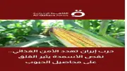 حرب إيران تهدد الأمن الغذائي.. نقص الأسمدة يثير القلق على محاصيل الحبوب