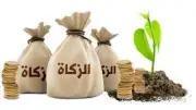 هل تجب الزكاة في أموال الزوجة؟ دار الإفتاء تجيب وتوضح الشروط