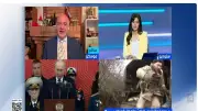 باحث سياسي: الحديث عن هدنة روسيا وأوكرانيا لا يعني توقف العمليات العسكرية