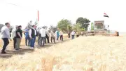 وزير الزراعة يشهد حصاد القمح بالبحيرة ويوزع معدات زراعية