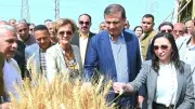 محافظ البحيرة تستقبل وزير الزراعة وسفيرة الاتحاد الأوروبي في احتفالية حصاد القمح