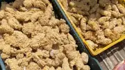 حملات مكثفة بدمياط لضبط سوق اللحوم قبل عيد الأضحى