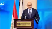 بعد طلب إحاطة أميرة فؤاد.. لماذا يرفض المصري الديمقراطي آليات إضافة العربي والتاريخ للمجموع؟