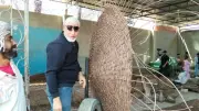 محافظ القليوبية يتابع توثيق المعالم السياحية والأثرية للترويج