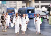 فتاوى الحج: أحكام الطواف وصكوك الهدي ومعنى يوم التروية
