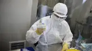 أول دليل على انتقال إنفلونزا الطيور عبر حليب الأغنام في كندا