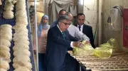 محافظ الدقهلية في جولة مفاجئة بالمنصورة: تحذير بشأن صرف حصص الخبز