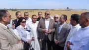 محافظ الإسكندرية يشهد احتفالية حصاد القمح ويؤكد أهمية المحصول الاستراتيجي