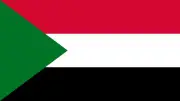 غارات جوية للجيش السوداني على الدعم السريع في جنوب دارفور