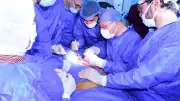 رئيس جامعة سوهاج يقود فريقاً طبياً لإنقاذ ذراع شاب من الشلل بعد حادث مروري