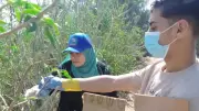 دعم المزارعين.. زراعة كفر الشيخ تستعد للموسم الصيفي