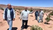 الزراعة تواصل دعم مزارعي التجمعات التنموية بوسط سيناء ضمن جهود بحوث الصحراء