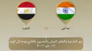 وزير الخارجية يشارك في اجتماع وزراء خارجية البريكس بنيودلهي