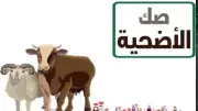 كيفية تقسيط صكوك الأضاحي من وزارة الأوقاف.. اعرف آخر موعد