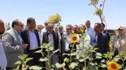 البحر الأحمر وهيئة الصعيد تطلقان بوابة الاستثمار الإنتاجي والزراعات الاستراتيجية