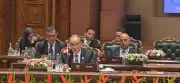 وزير الخارجية يعرض فكرة إنشاء مركز لوجستي للحبوب في شرق بورسعيد أمام البريكس