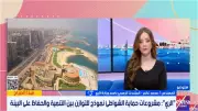 متحدث الري: دراسة شاملة لإدارة وتأمين السواحل من النوات البحرية