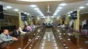 كفر الشيخ تعتمد خطة شاملة للحد من انتشار الكلاب الحرة في الشوارع