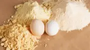 مفاجأة في سوق الدواجن.. مصر تصدر البيض البودرة لأول مرة