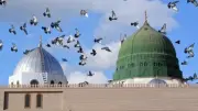علي جمعة: النبي حي في قبره ويعرف من يصلي عليه